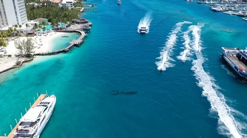 Editorial Animation true usd Crypto Currency Stock Footage 113221078