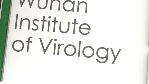Editorial, Artist render, Wuhan Institute of Virology, China. Vidéo 132144053