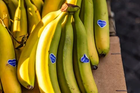 EDITORIAL Bananas Stock Photos