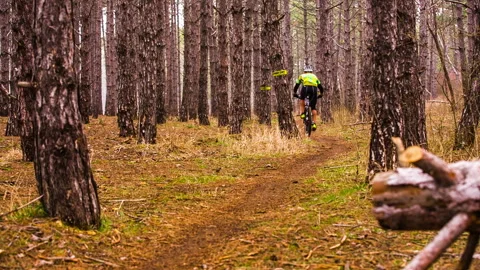 Editorial. Cyclists cross a section of the line between the trees. Stock Footage 140223688