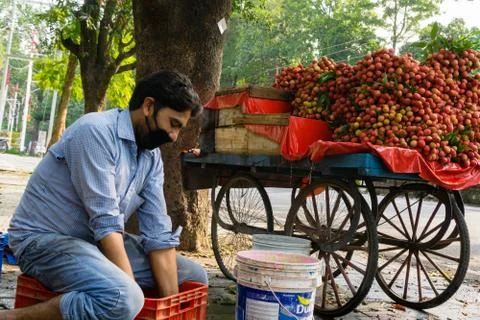 EDITORIAL DATED-16TH JUNE 2020 LOCATION-DEHRADUN INDIA. A road side fruit sel Stock Photos