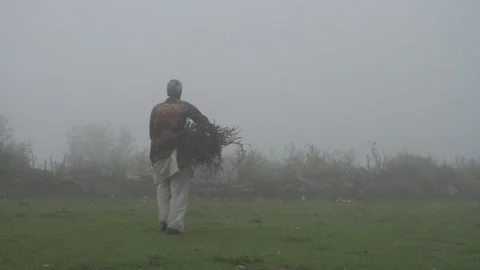 Editorial, Dated: 3rd Nov' 2021 Location : DehradDun India. A man feeding b.. Stock Footage 243984706