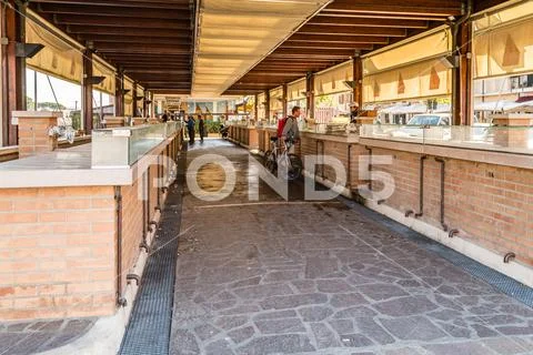 EDITORIAL fish market of Cervia in Italy Stock Photo #108676660