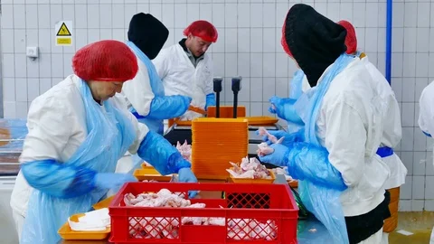 Editorial footage: Chicken Meat Processing Plant Stock Footage 118596352