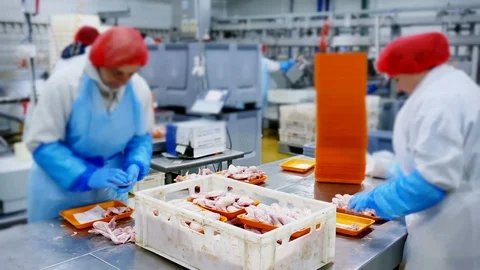 Editorial footage: Chicken Meat Processing Plant Stock Footage 118596493