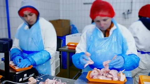 Editorial footage: Chicken Meat Processing Plant Stock Footage 118599296