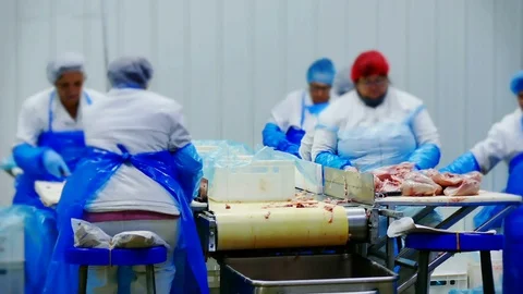 Editorial footage: Chicken Meat Processing Plant Stock Footage 118600057