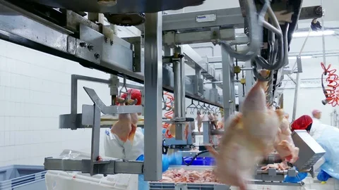 Editorial footage: Chicken Meat Processing Plant Stock Footage 118605542