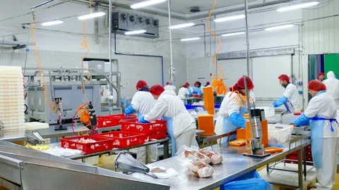 Editorial footage: Chicken Meat Processing Plant Stock Footage 119256372