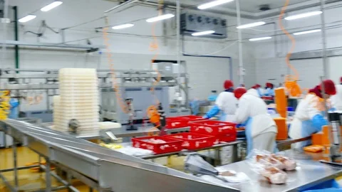 Editorial footage: Chicken Meat Processing Plant Stock Footage 119257420
