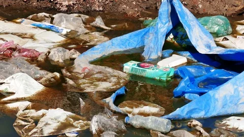 Editorial Footage : Polluted River with Plastic Bags Stock Footage 109059562