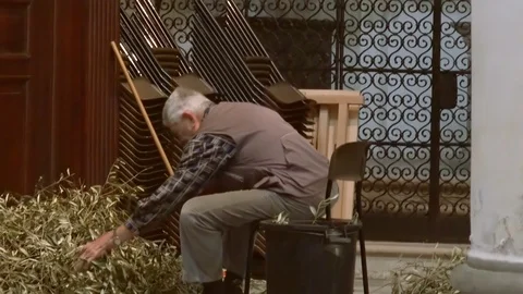 EDITORIAL, olive branches to be blessed Stock Footage 87746550