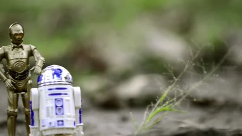 For Editorial pan of star wars android figures c3po and r2d2 in the wilderness Stock-Footage 221275433