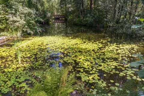 Editorial, Pond in foreground at the Centre For Alternative, Technology Stock Photos