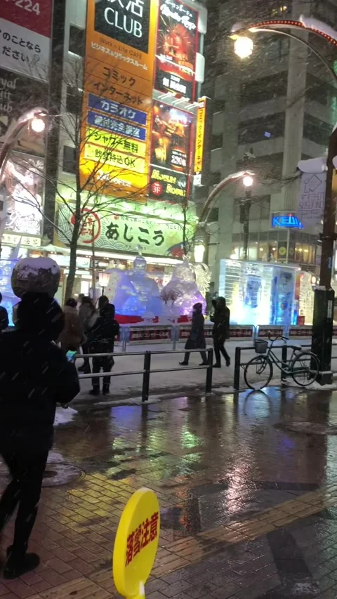 Editorial: Sapporo at night in the winter, Japan Stock Footage 346579996