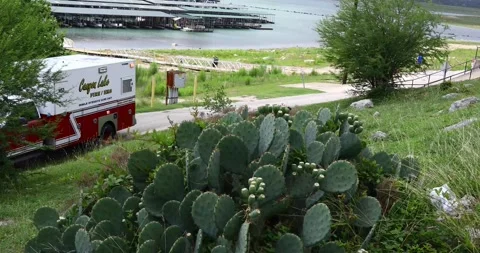 Editorial static video of Canyon Lake EMS pulling up at Suntex Marina on Canyon Stock Footage 340355079