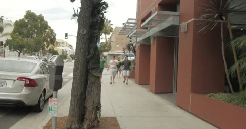 EDITORIAL - Tree man prank Stock Footage 51685135