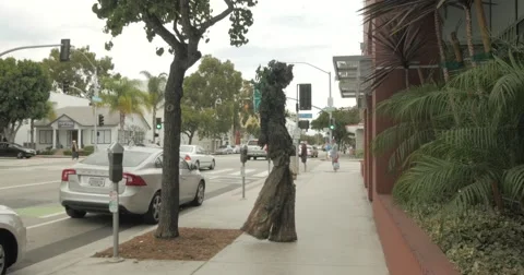 EDITORIAL - Tree man prank Stock Footage 51685158