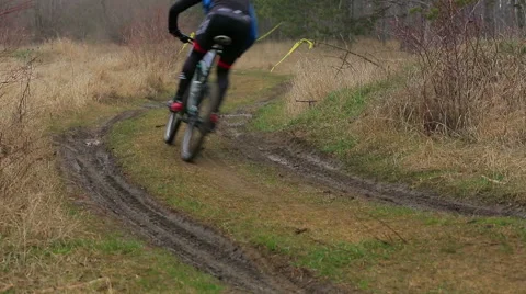 EDITORIAL. Two Cyclists Moving Into The Distance In Pine Forest Stock Footage 50449797