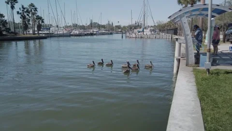 Editorial Use Only April 15, 2025. Gulfport, FL, USA. Leading lines sea wall vie Stock Footage 306904081