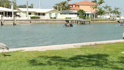 Editorial Use Only April 19, 2025 St. Petersburg, FL, USA. Heron Standing by a S Stock Footage 307256550