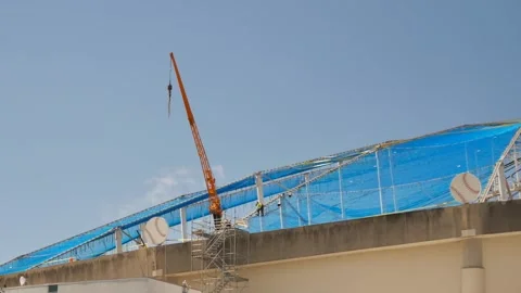 Editorial Use Only August 7, 2025, Tropicana St. Petersburg, FL USA.  Yellow Cra Stock Footage 314613812