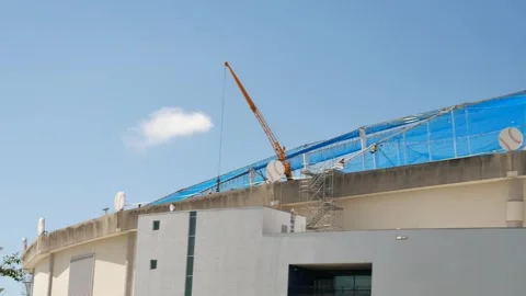 Editorial Use Only August 7, 2025, Tropicana St. Petersburg, FL USA.  Yellow Cra Stock Footage 314613813