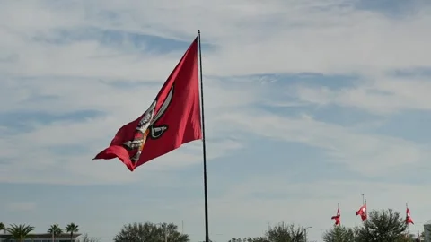 Editorial Use Only December 10, 2024.Tampa, FL, USA. Early afternoon View team p Stock Footage 295292753