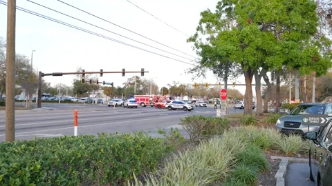 Editorial Use Only March 2, 2025. St. Petersburg, FL, USA, Multiple Police and F Stock Footage 303319143