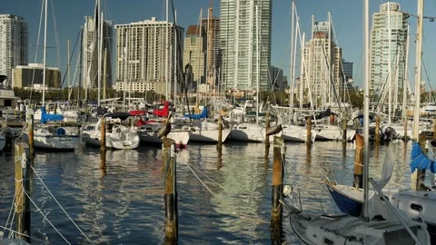 Editorial Use Only November 2, 2024, St. Petersburg  Florida, USA. View NW from Stock Footage 290274213