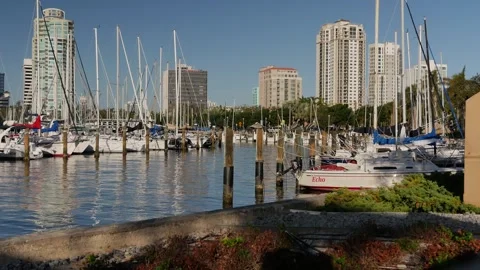 Editorial Use Only November 2, 2024, St. Petersburg  Florida, USA. View NW from Stock Footage 290274412
