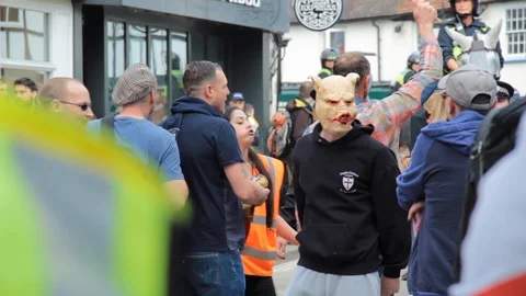 EDL in pig mask Stock Footage 114073055