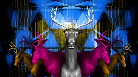 EDM Colorfull Deer 3d animaton rave 60fps VJ Loops. Club VIsuals VJ Loop Stock Footage 72502118