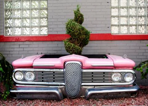 Edsel planter 写真素材