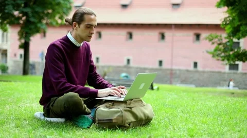 Educating business man using laptop on meadow park outside. Urban freelancer lif Stockbeeldmateriaal 145796157