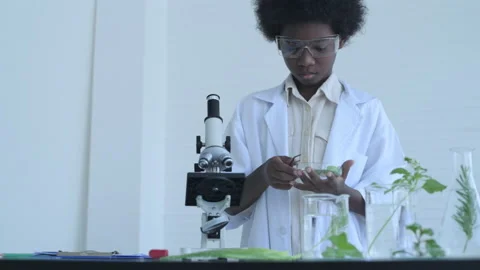 Education concept of 4k Resolution. Students are doing plant experiments in t Stock Footage 170087291