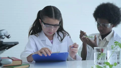 Education concept of 4k Resolution. Young students are experimenting with kno Stock Footage 161043481