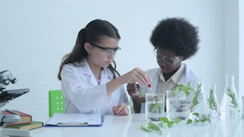 Education concept of 4k Resolution. Young students are experimenting with kno Stock Footage 164926602