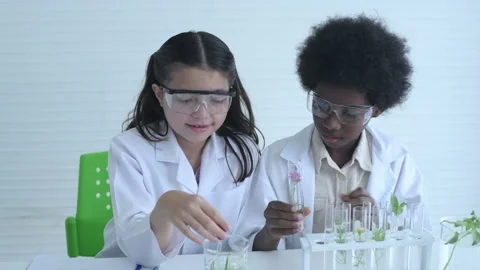 Education concept of 4k Resolution. Young students are experimenting with kno Stock Footage 187178943