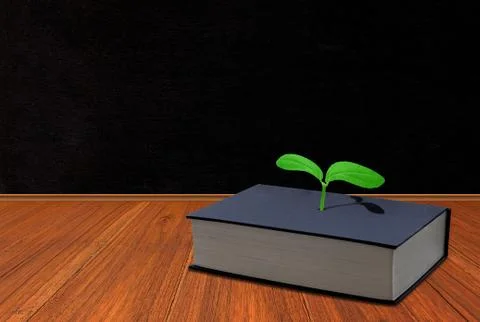 Education Concept Background Stock Photos