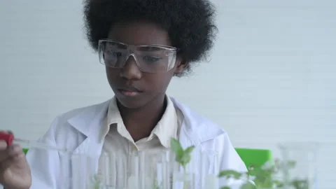 Education concept. The boy was testing the extract on the plant in a test tub Stock Footage 137246853