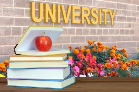Education concept Stock Photos