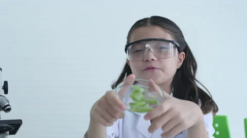 Education concept. Students are presenting their experiments through video ca Stock Footage 138302366