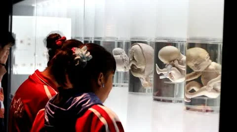 Education 스톡 동영상 10617170