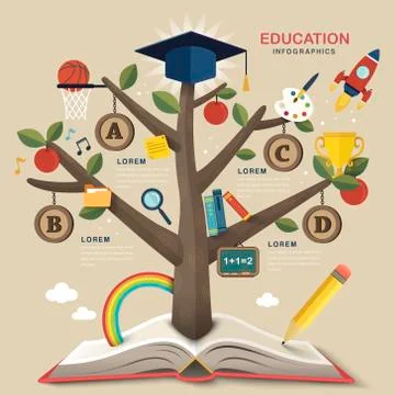 Education infographic design Stock Illustration
