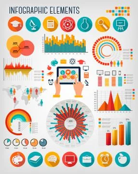 Education infographics. vector. Stock Illustration