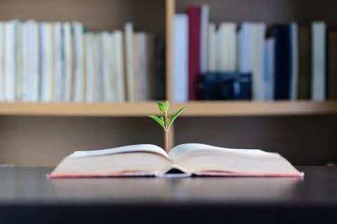 Education learning concept. Book in library with old open textbook, stack p.. Stock Photos