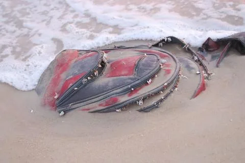 Education Lost in the Waves  Discarded Backpack on Shore Stock Photos