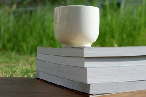 Education Stock Photos