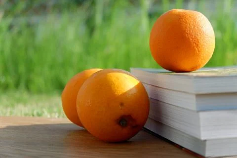 Education 스톡 사진